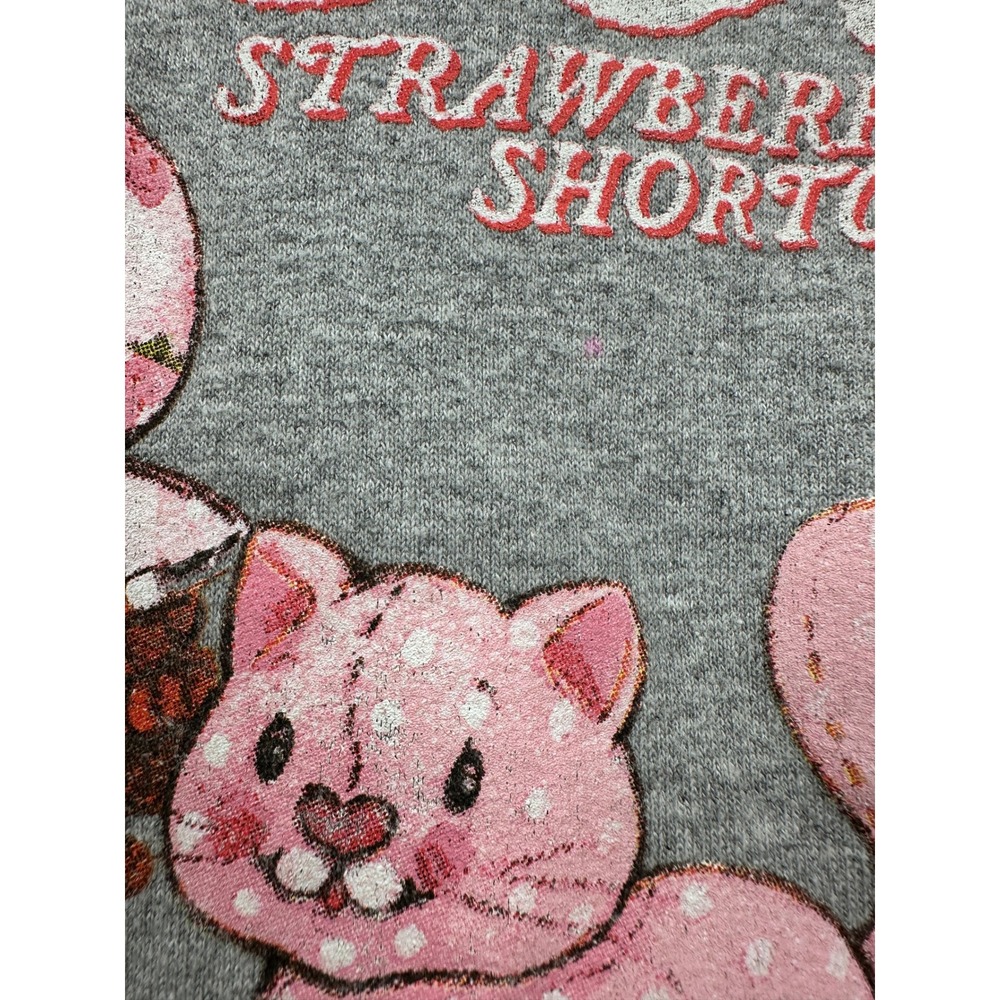 Strawberry Shortcake Graphic Sweatshirt Gray Small Embroidered Sleeve Pullover - Picture 7 of 11